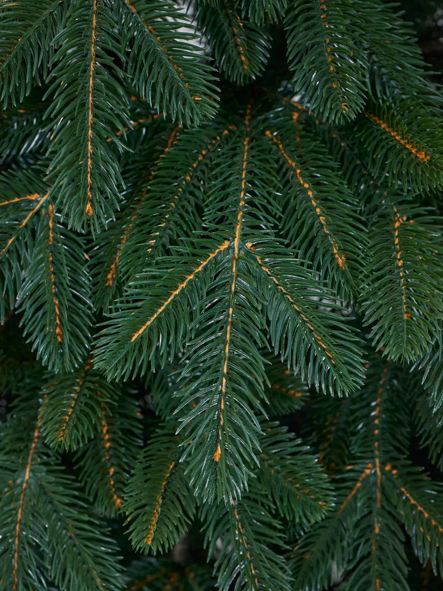 Alaska Christmas Tree