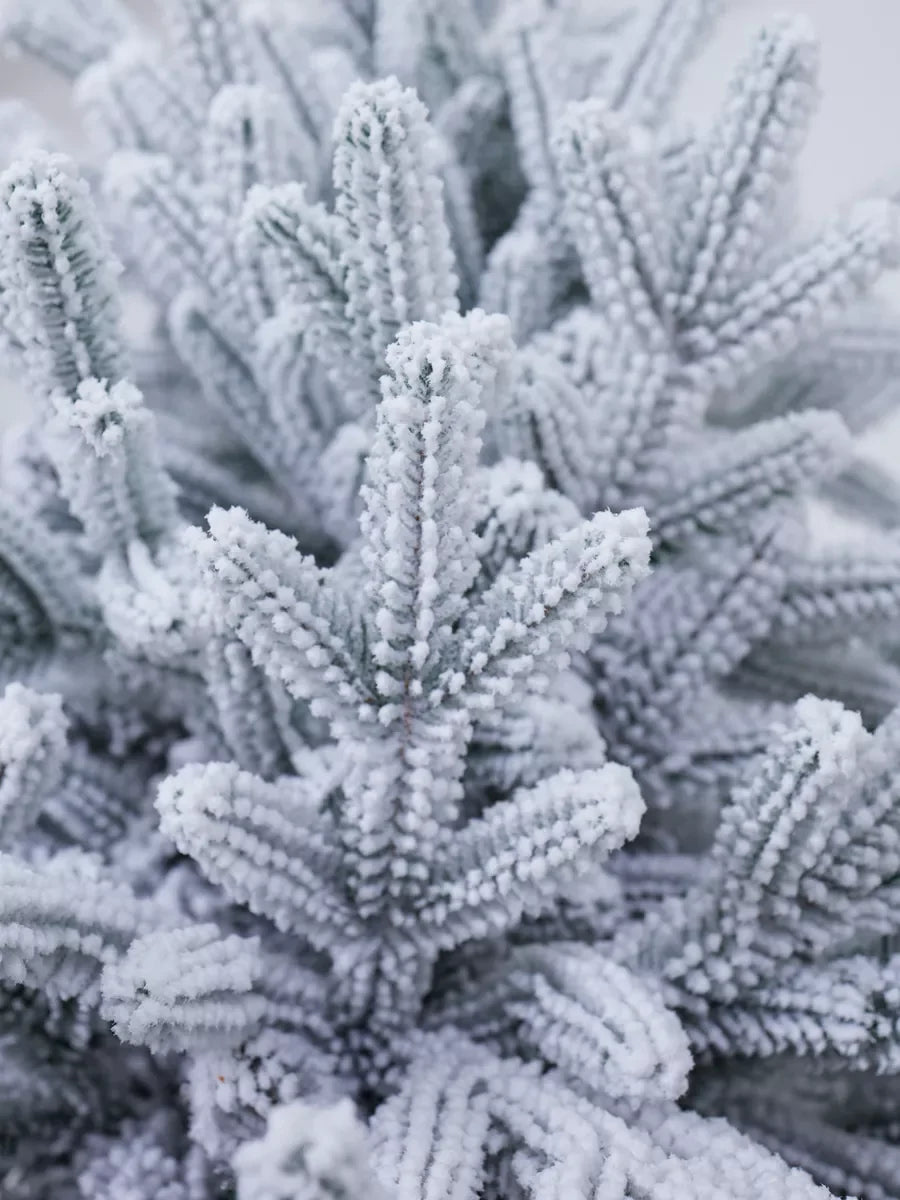Versailles Christmas Tree