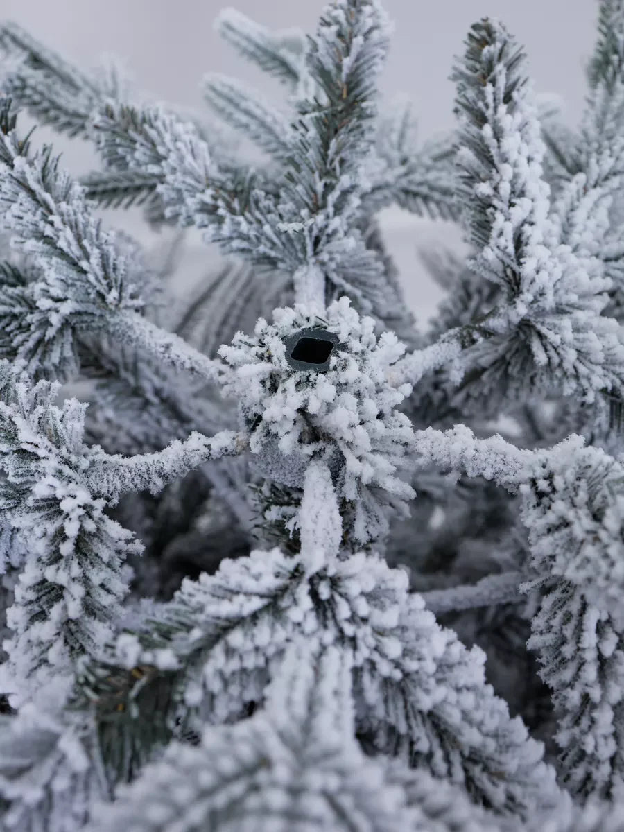 Versailles Christmas Tree