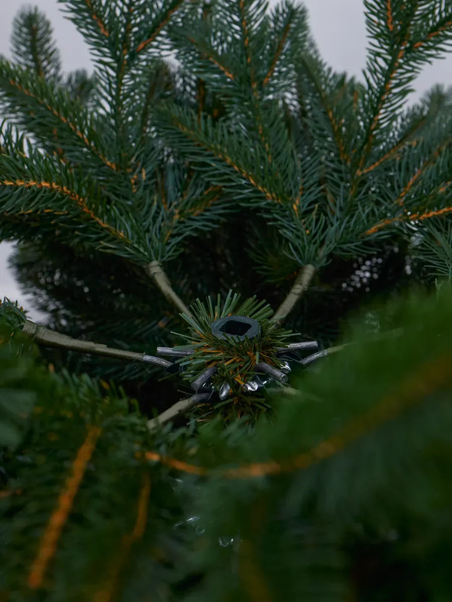 Alpin Christmas Tree