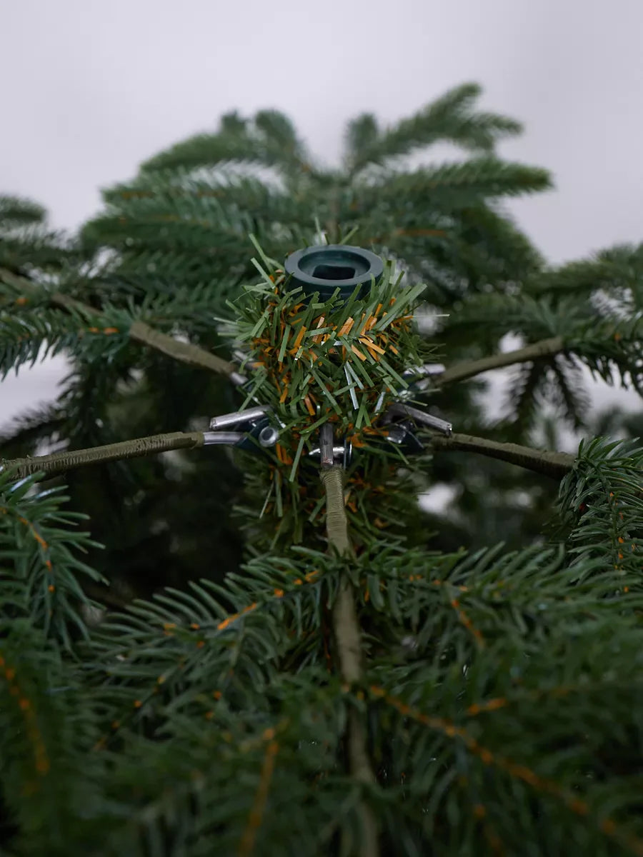 Cedar Christmas Tree